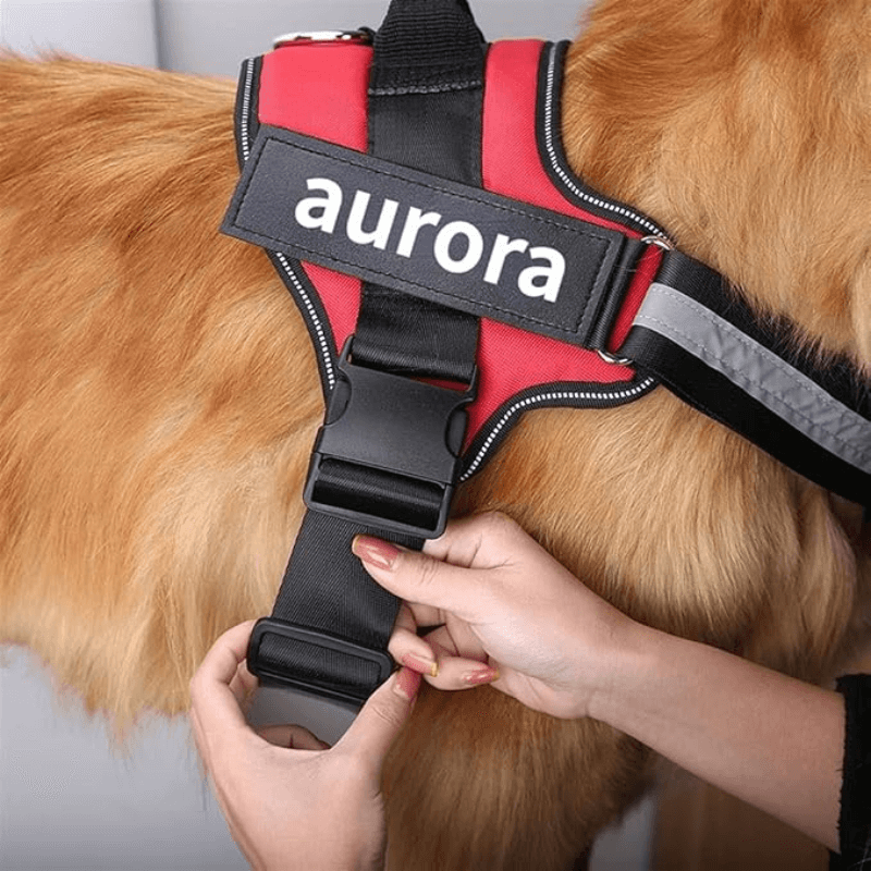 Busy Barks™ Premium "No Pull" BFF Harness