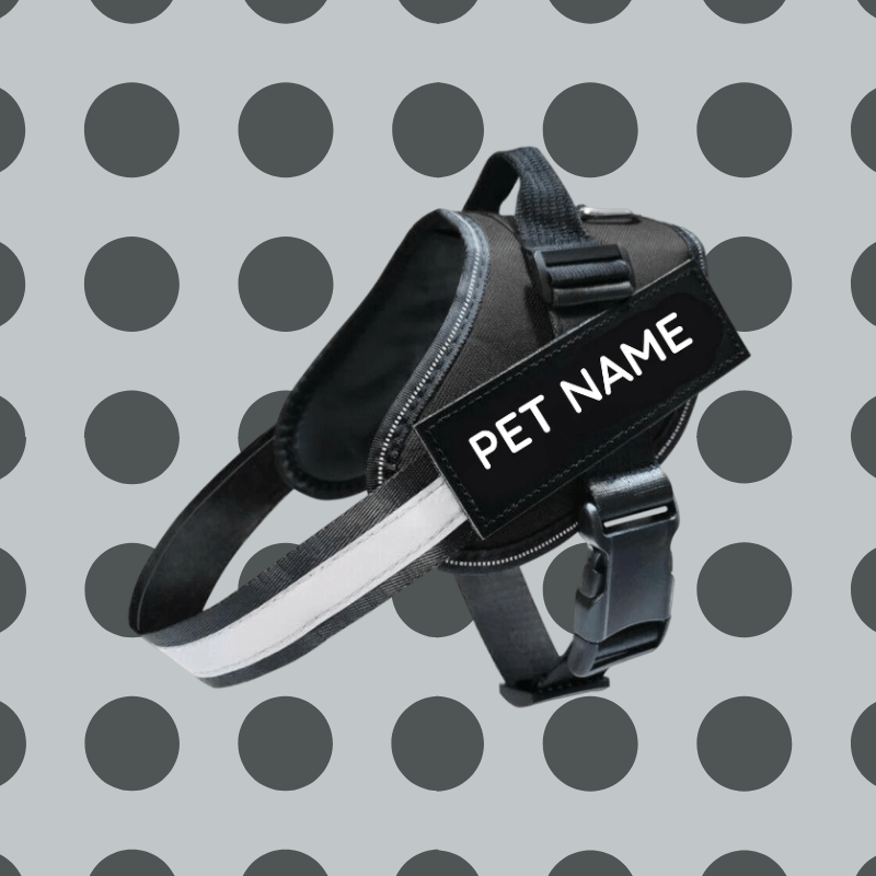 Busy Barks™ Premium "No Pull" BFF Harness