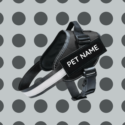 Busy Barks™ Premium "No Pull" BFF Harness