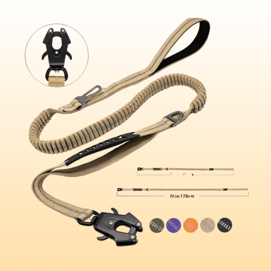 Busy Barks™ Pull-Proof Leash