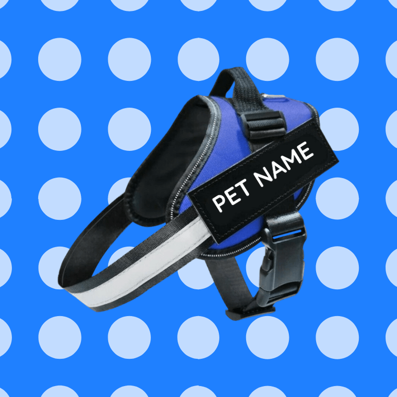 Busy Barks™ Premium "No Pull" BFF Harness