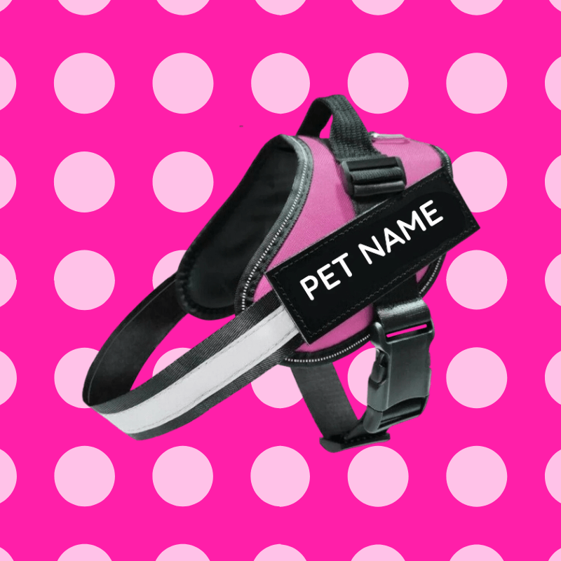 Busy Barks™ Premium "No Pull" BFF Harness