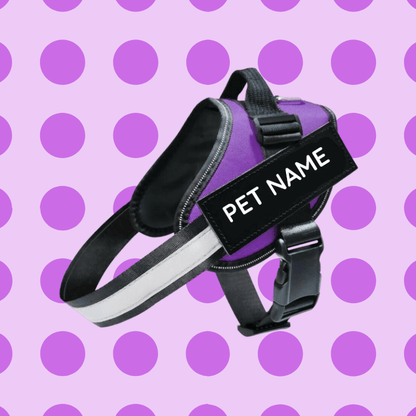 Busy Barks™ Premium "No Pull" BFF Harness