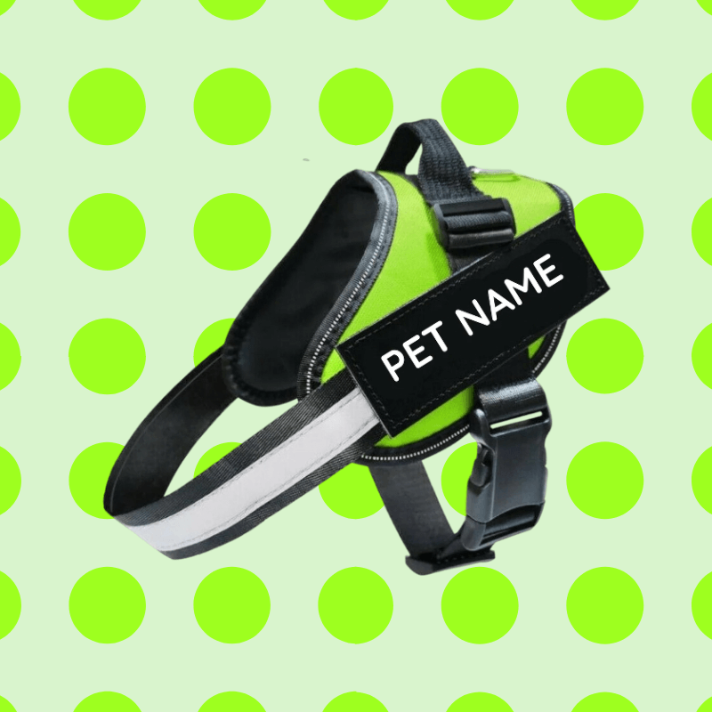 Busy Barks™ Premium "No Pull" BFF Harness