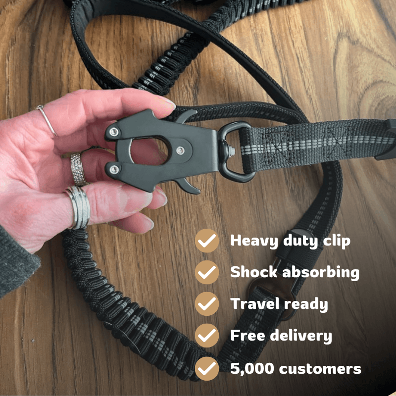 Busy Barks™ Pull-Proof Leash