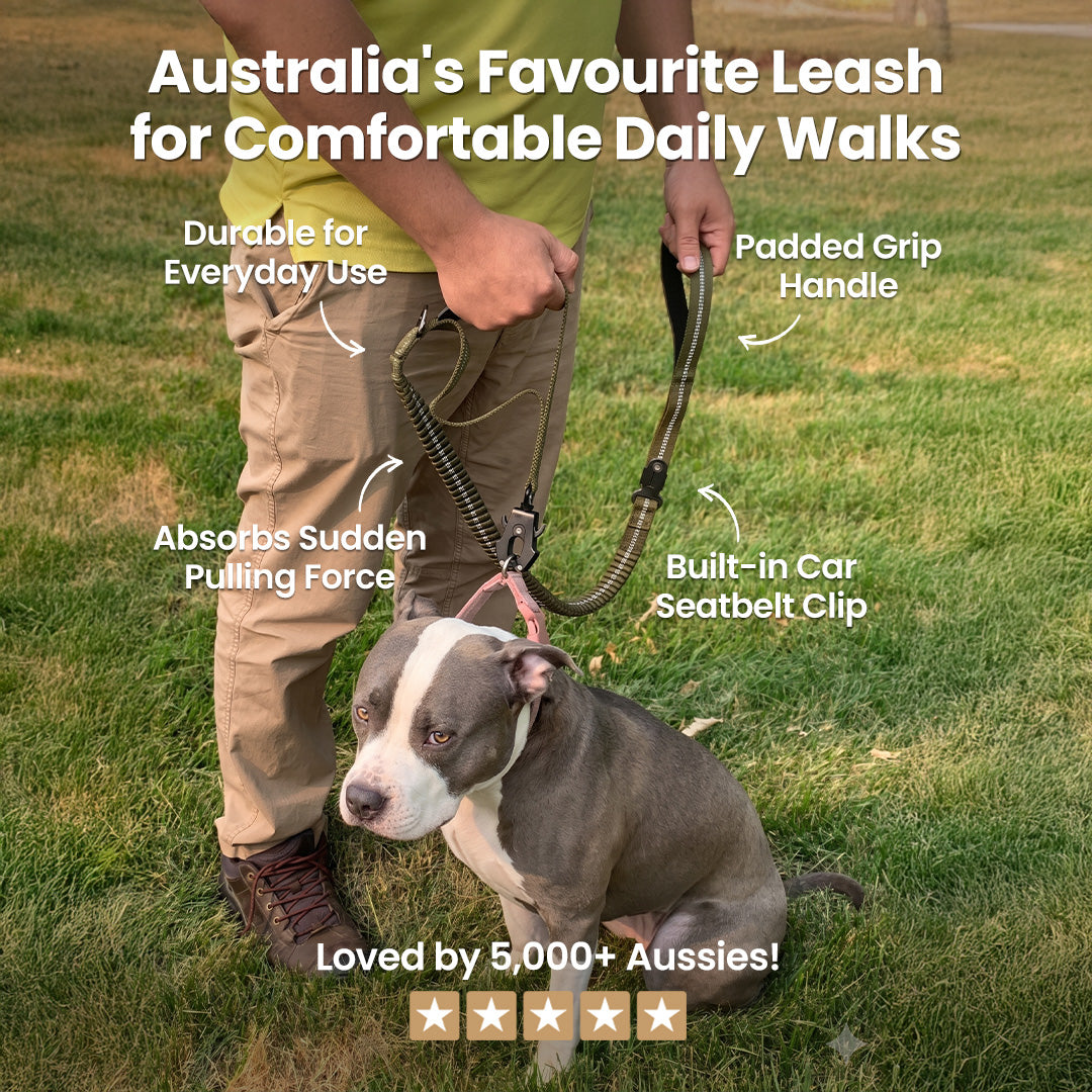 Busy Barks™ Pull-Proof Leash