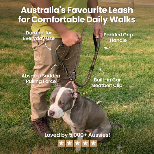 Busy Barks™ Pull-Proof Leash