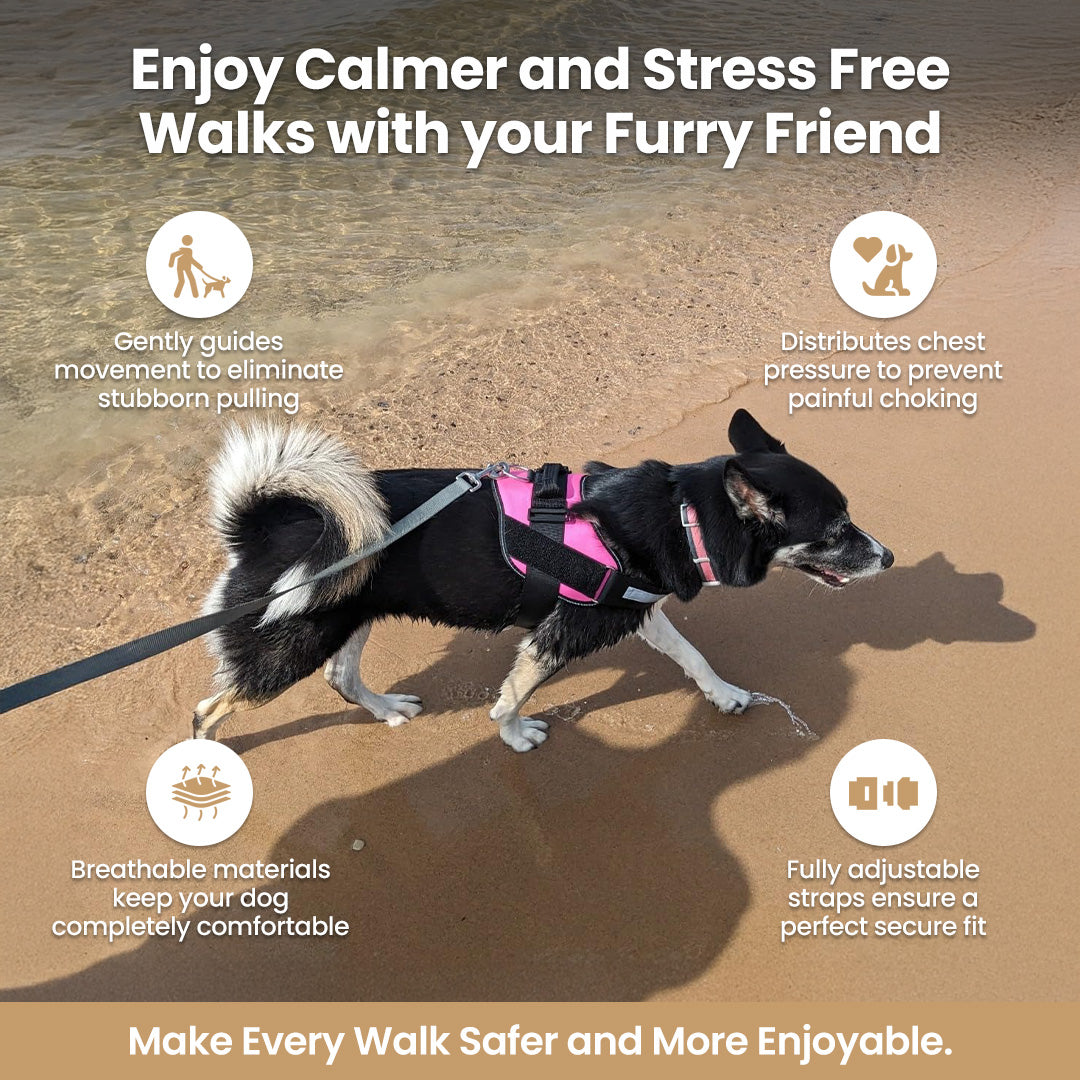 Busy Barks™ Premium "No Pull" Harness