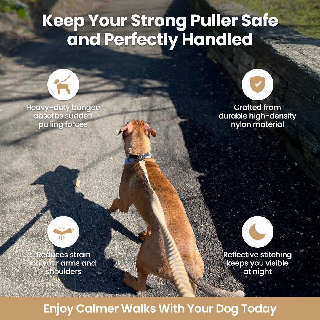 Busy Barks™ Pull-Proof Leash
