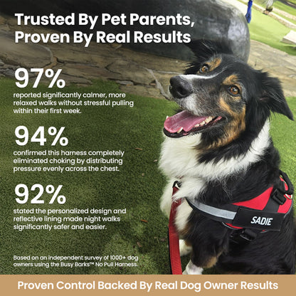 Busy Barks™ Premium "No Pull" Harness