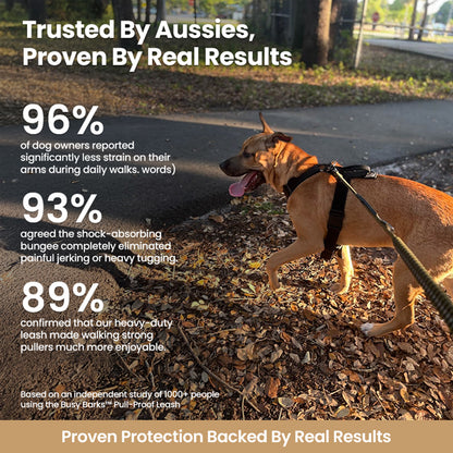 Busy Barks™ Pull-Proof Leash