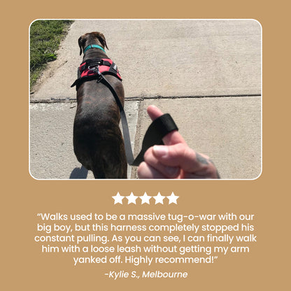 Busy Barks™ Premium "No Pull" Harness