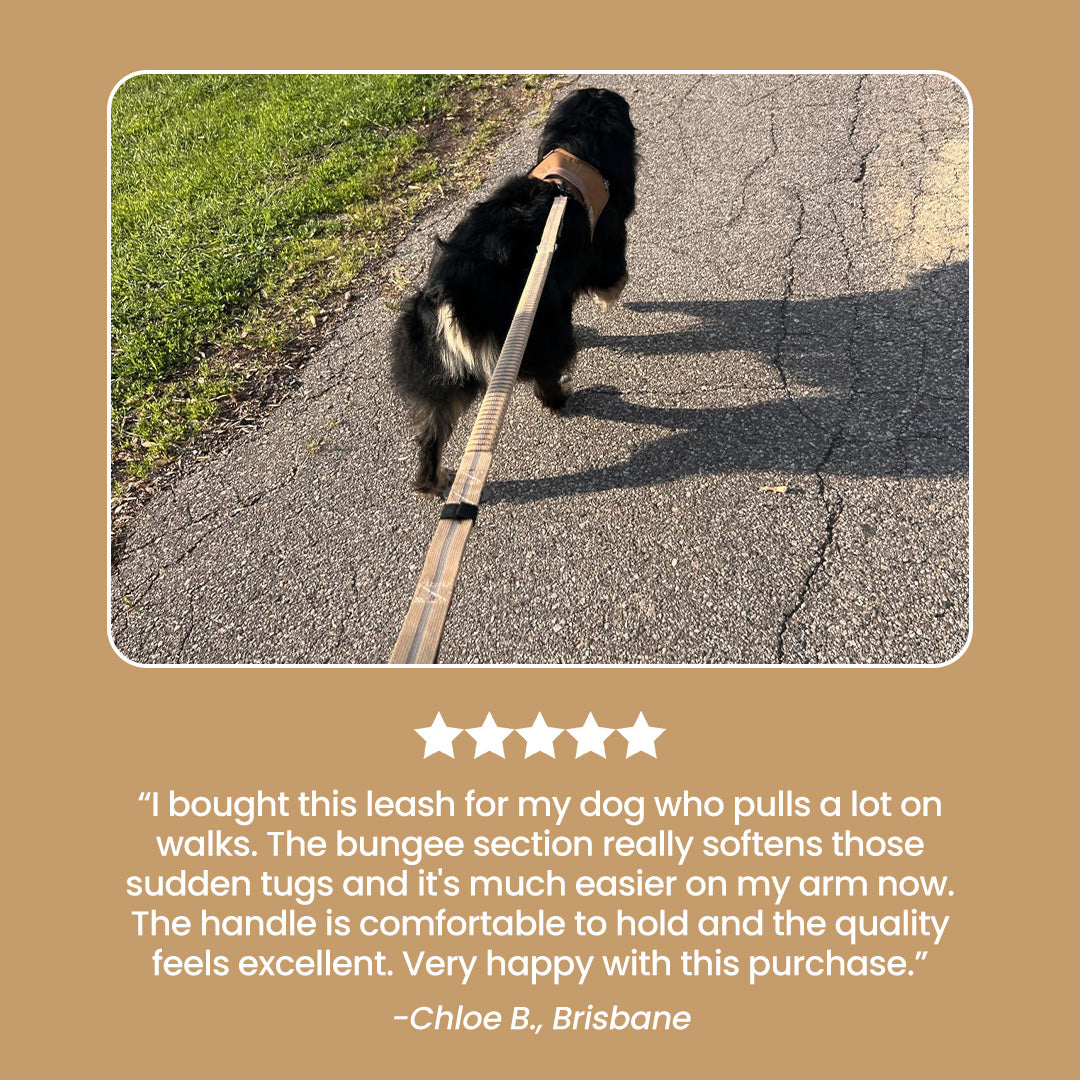 Busy Barks™ Pull-Proof Leash