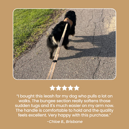Busy Barks™ Pull-Proof Leash