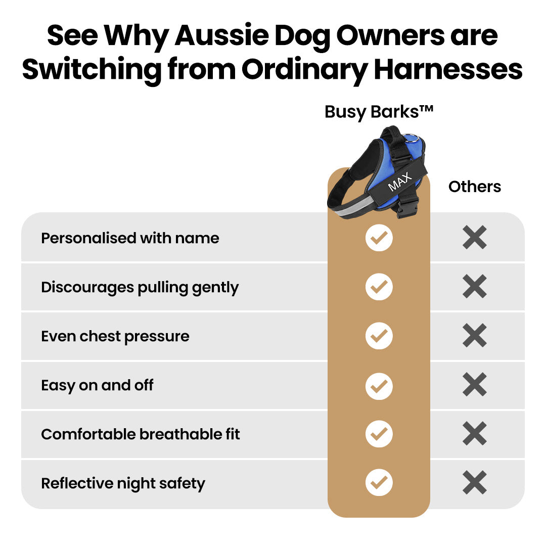 Busy Barks™ Premium "No Pull" Harness