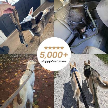 Busy Barks™ Pull-Proof Leash
