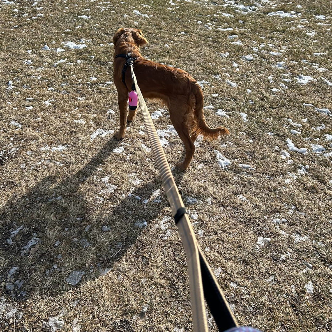 Busy Barks Everyday Bundle