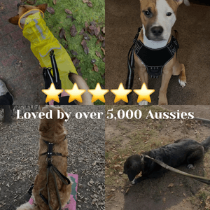 Busy Barks™ Premium "No Pull" BFF Harness
