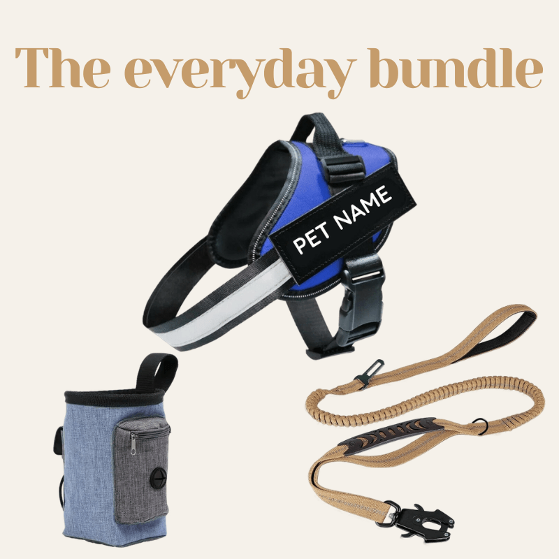 Busy Barks Everyday Bundle