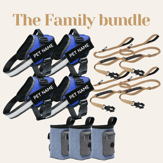The Family Bundle